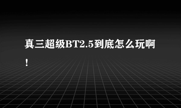 真三超级BT2.5到底怎么玩啊!