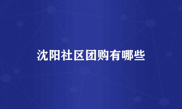 沈阳社区团购有哪些