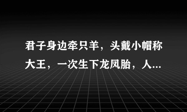 君子身边牵只羊，头戴小帽称大王，一次生下龙凤胎，人头两点四横长，请猜回个字，谢谢！