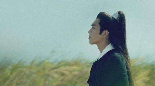 徐凤年最后学武了吗