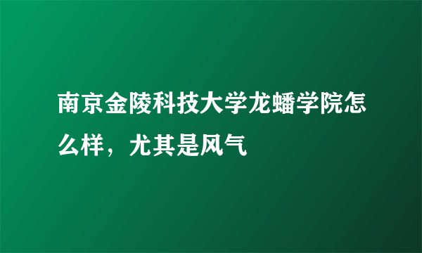 南京金陵科技大学龙蟠学院怎么样，尤其是风气