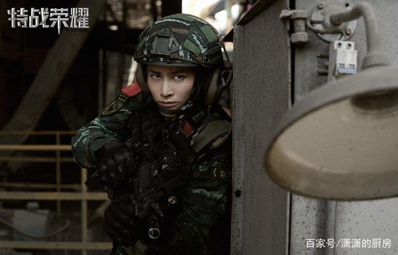 特战荣耀一共多少集