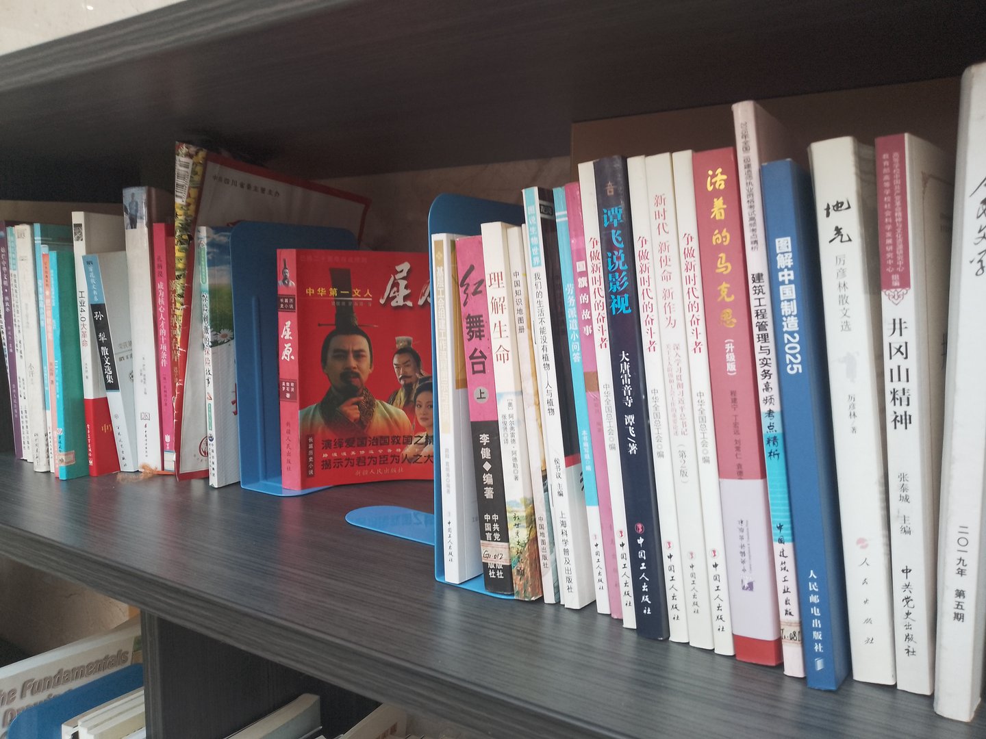 什么是强者，什么又是弱者？