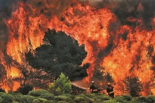 大理5小时内两地连发山火，导致山火发生的原因有哪些？