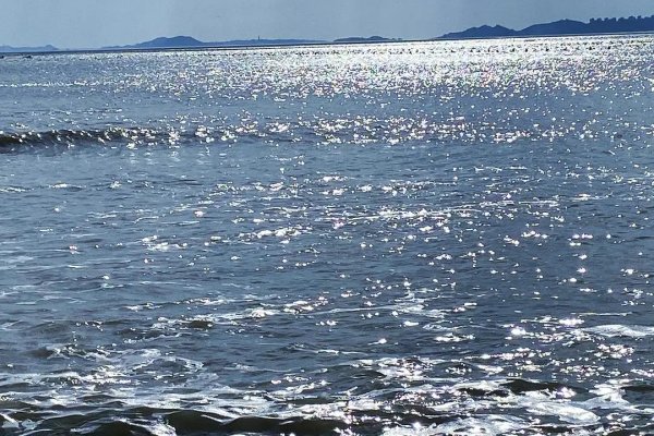 粼粼的意思和拼音