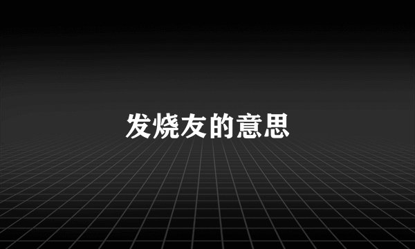 发烧友的意思