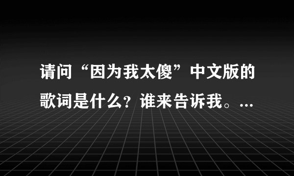 请问“因为我太傻”中文版的歌词是什么？谁来告诉我。谢谢了。。。！！！
