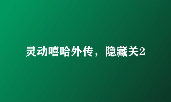 灵动嘻哈外传，隐藏关2