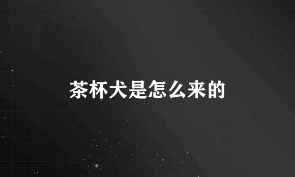 茶杯犬是怎么来的