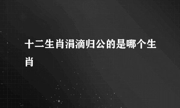 十二生肖涓滴归公的是哪个生肖
