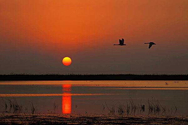 江西鄱阳湖水域面积正在逐步恢复,为什么今年这么旱?明年还会继续旱吗?