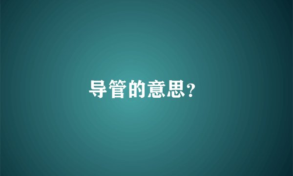 导管的意思？