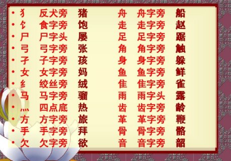 犭字旁的字有哪些