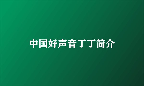 中国好声音丁丁简介