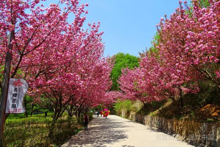 kanazawa在日本哪里