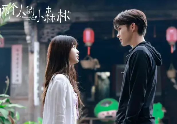 两个人的小森林一共几集