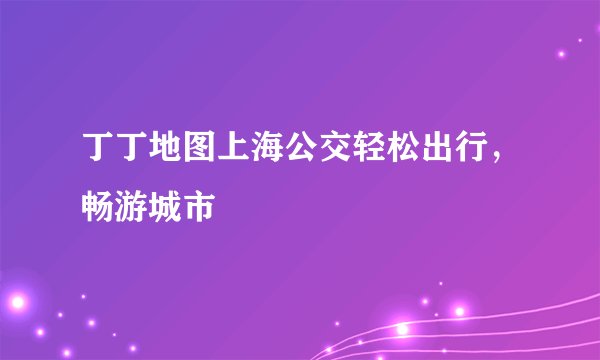 丁丁地图上海公交轻松出行，畅游城市