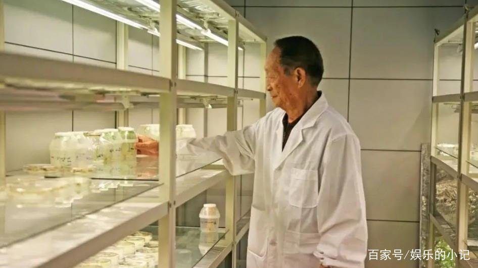 “杂交水稻之父”袁隆平去世,听说之前摔了一跤,是不是这个原因导致的?