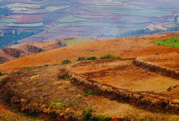 土地肥沃是什么意思解释
