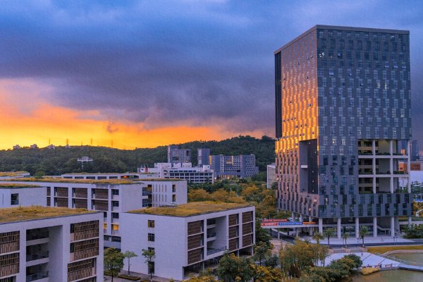 广东专科官方排名公布