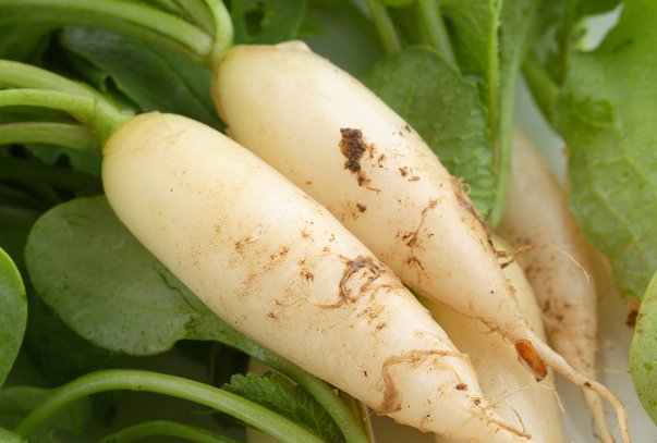 脆生生的是什么食物