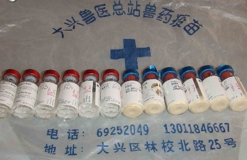 如何自己给小狗打疫苗