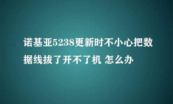 诺基亚5238更新时不小心把数据线拔了开不了机 怎么办