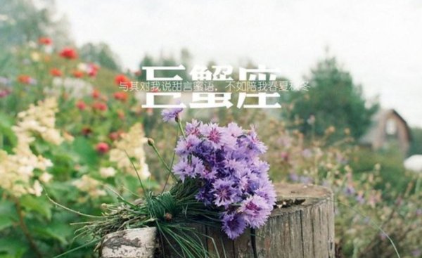 生肖配对和星座配对哪个准？