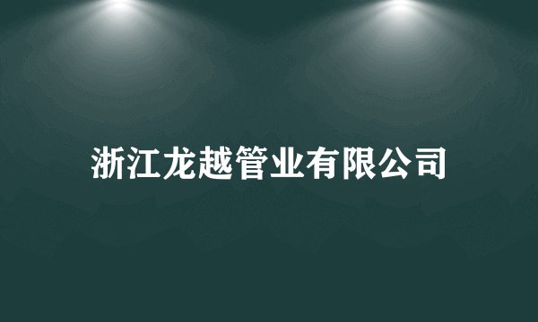 浙江龙越管业有限公司