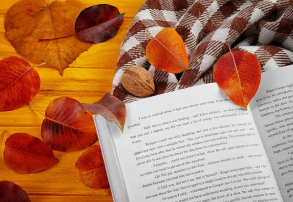 高雅是什么意思