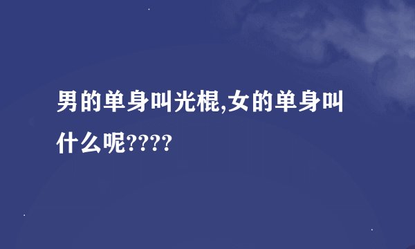 男的单身叫光棍,女的单身叫什么呢????