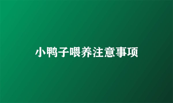 小鸭子喂养注意事项
