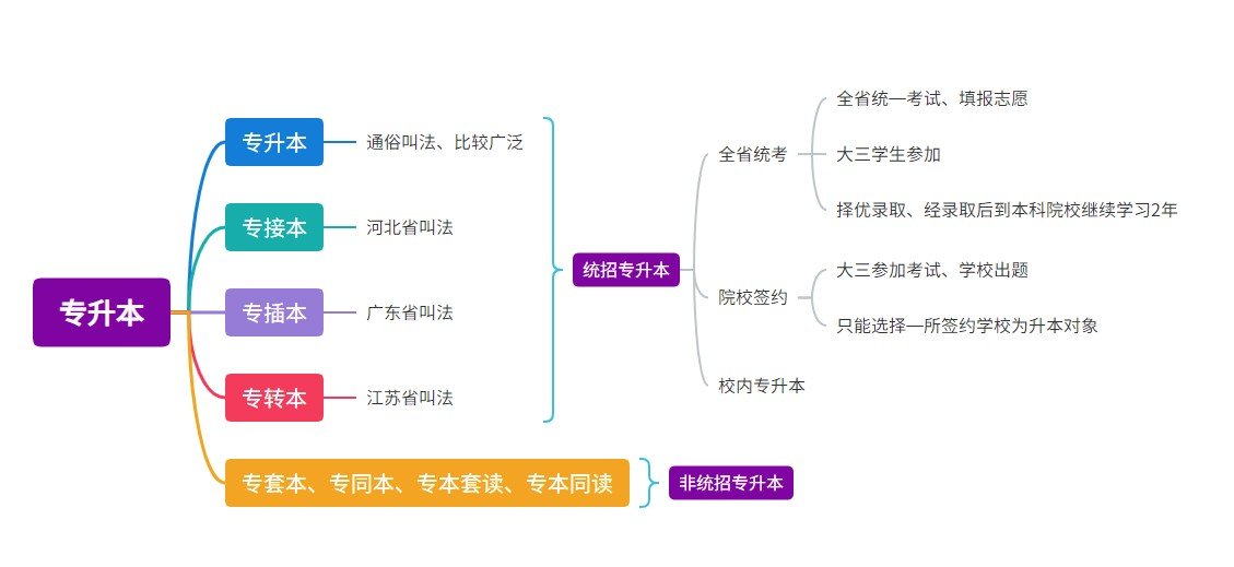 什么是专升本？