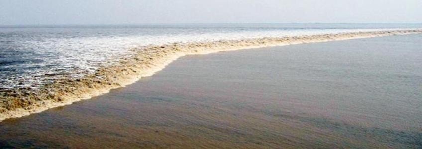 关于钱塘江大潮的资料与图片