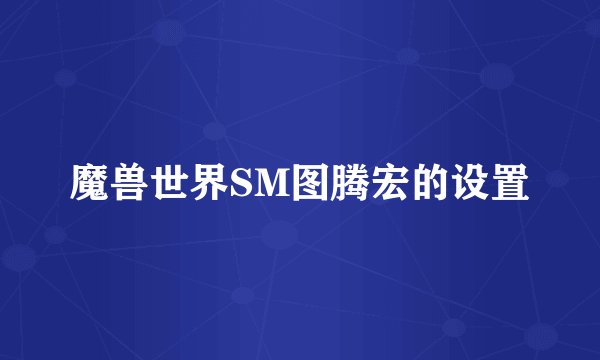 魔兽世界SM图腾宏的设置