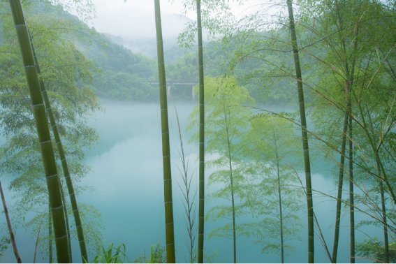 回首向来萧瑟处