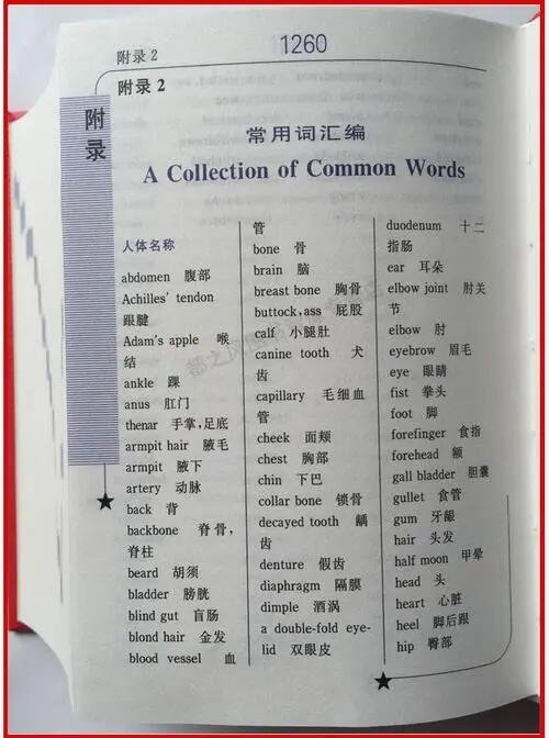 savana是什么意思