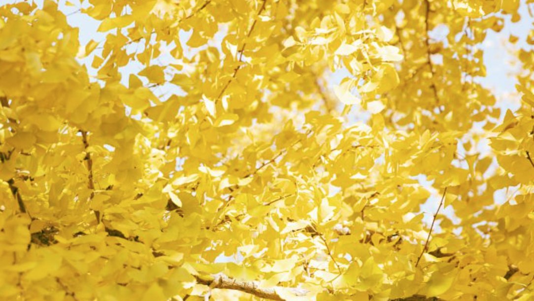 10月是什么季节