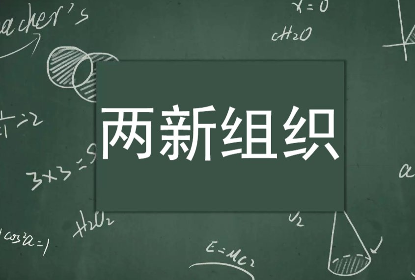 两新组织是指什么