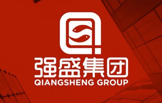 强盛集团是做什么的