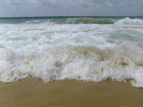 长江后浪推前浪，一代新人换旧人。出自何处？