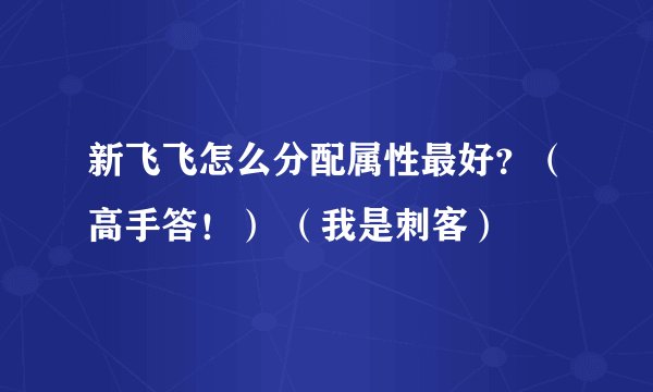 新飞飞怎么分配属性最好?(高手答!) (我是刺客)