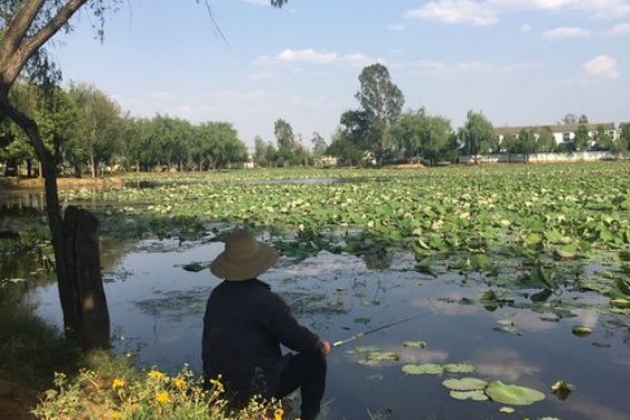 用一段话表现出悠然自得的情景
