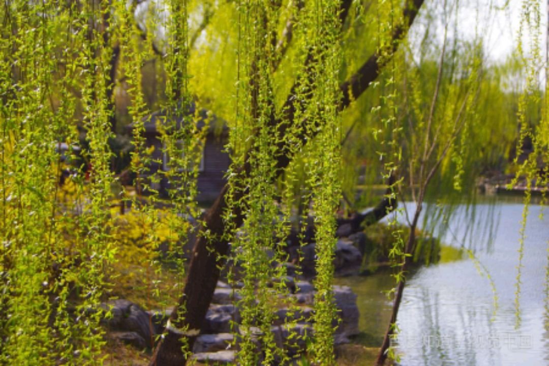 对联“风吹杨柳千门绿”的后半句是什么