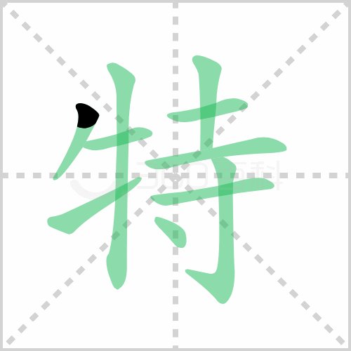 特在田字格的正确写法