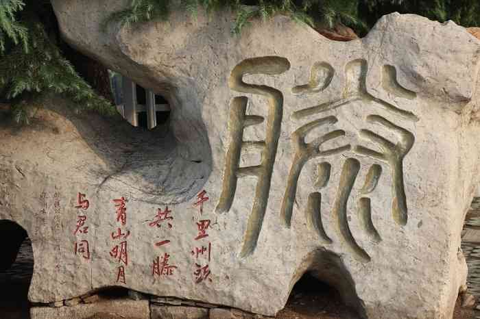 百家姓中的teng是腾还是滕