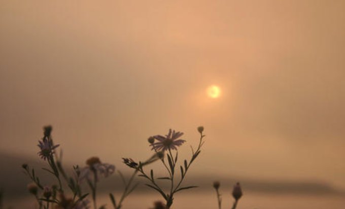 女孩子喜欢听纯音乐是什么性格呢？