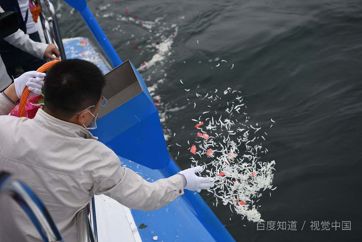 如今海葬已被更多人接受，那么海葬有哪些好处呢？