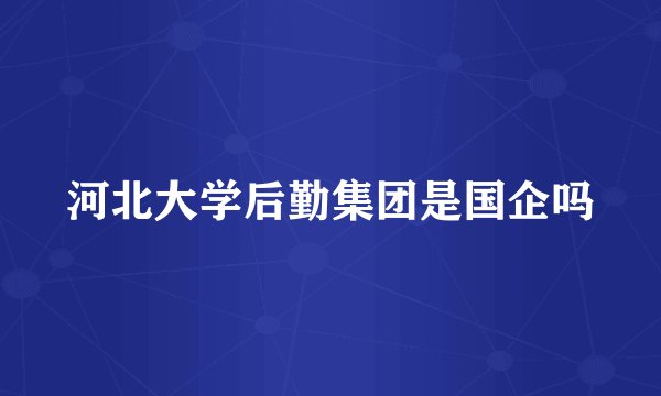 河北大学后勤集团是国企吗