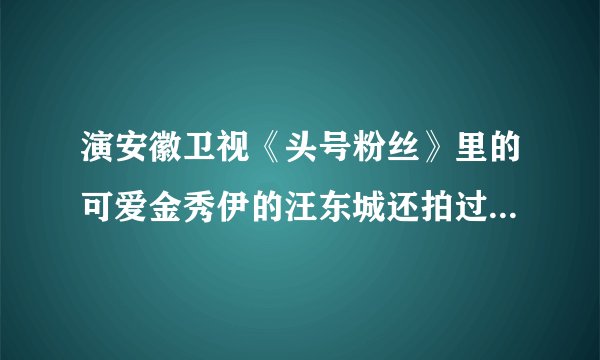 演安徽卫视《头号粉丝》里的可爱金秀伊的汪东城还拍过哪些电视剧